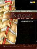 Atlas Anatomi lippincott williams & wilkins