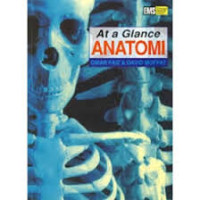 Image of AT a Glance Anatomi