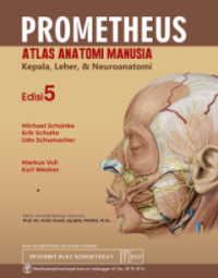 Image of Prometheus Atlas Anatomi Manusia : Kepala, Leher, dan Neuroanatomi
